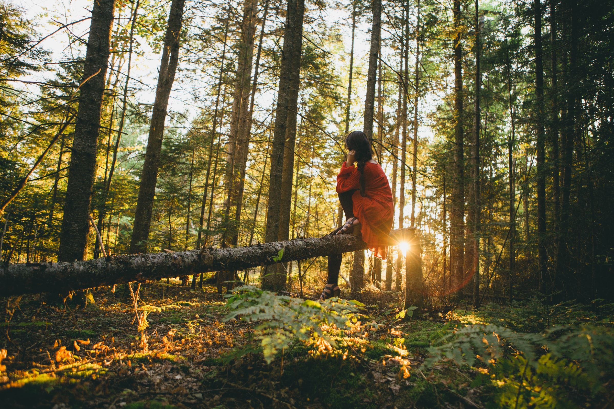 Benessere grazie alla foresta: guida dei 10 benefici del Forest Bathing