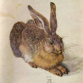 Non è un leprotto. È un super leprotto! L’ha dipinto Albrecht Dürer