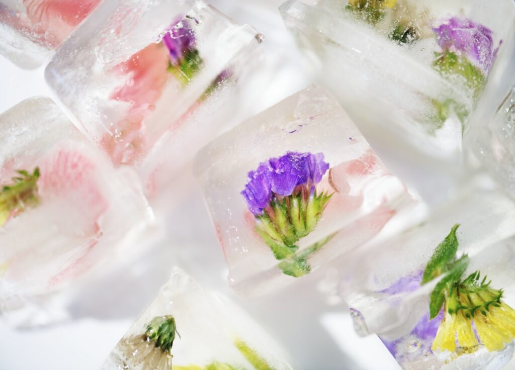 Selezionate e tagliare i vostri fiori commestibili preferiti, lavateli e adagiateli in uno stampo per fare i cubetti di ghiaccio. Ecco un modo semplicissimo per portare i fiori commestibili in tavola!
