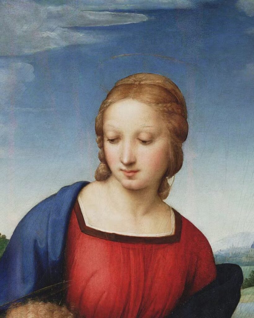 La Madonna del Cardellino - dettaglio