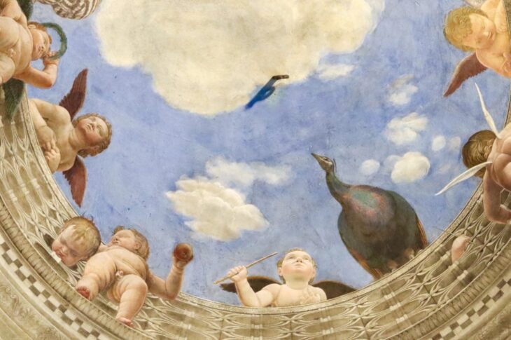 Putti, Mantegna - Camera degli Sposi