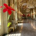Un fiore gigante in un museo non è mai solo un fiore