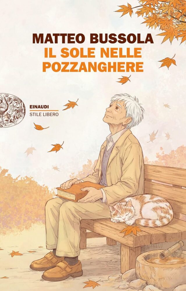 Il sole nelle pozzanghere di Matteo Bussola